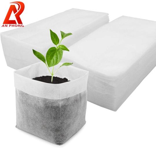 trẻ con làm vườn với túi vải không dệt